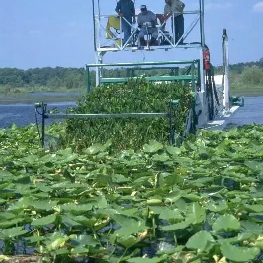 thumbnail for publication: A Beginner's Guide to Water Management—Aquatic Plants in Florida Lakes
